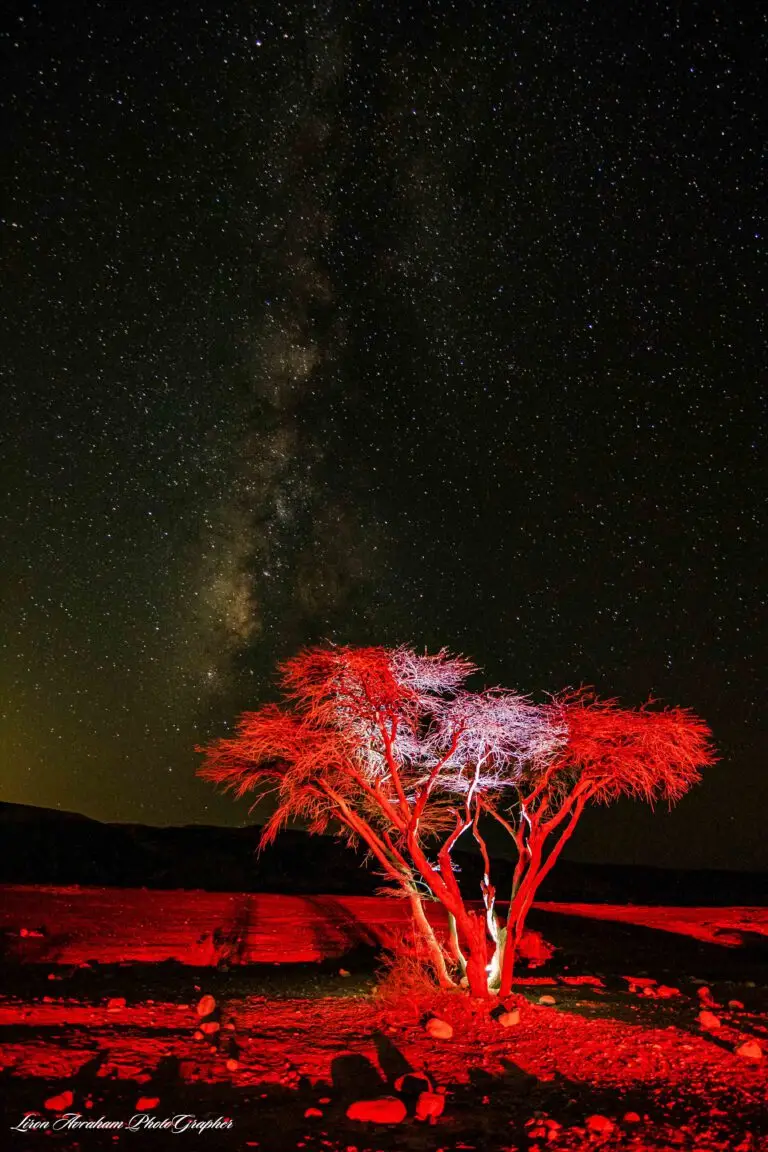 צילום-טבע-ונופים