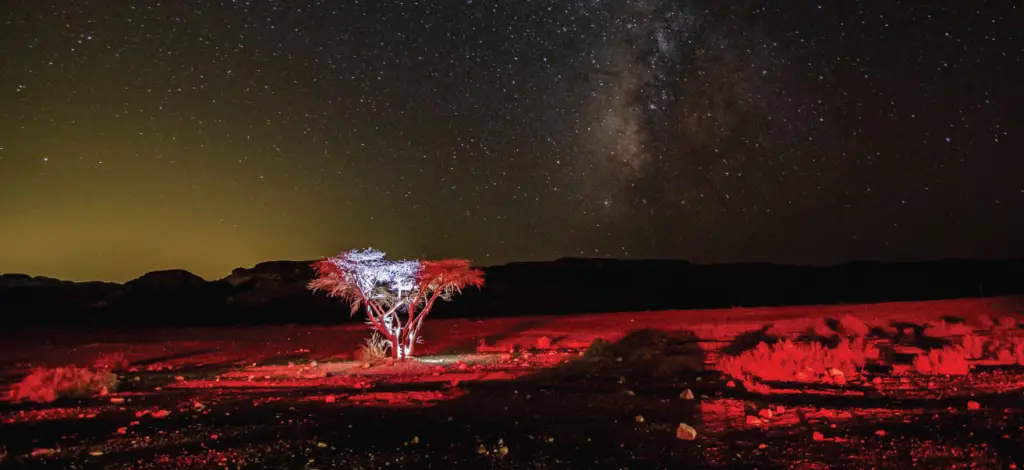 "לירון אברהם"